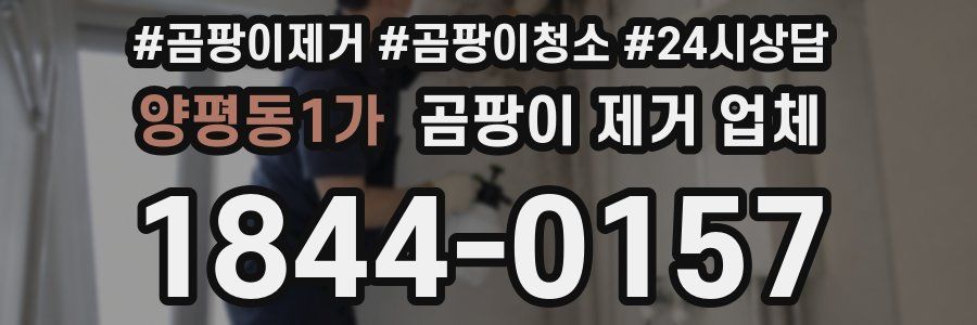 양평동1가 곰팡이 제거 업체