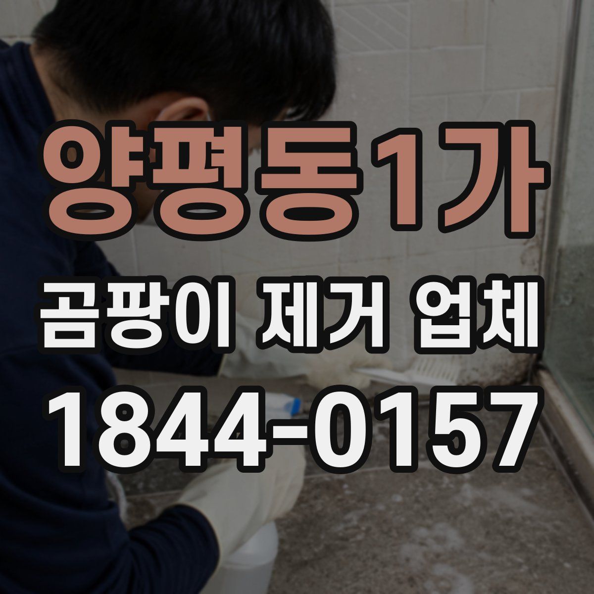 양평동1가 곰팡이 제거 업체
