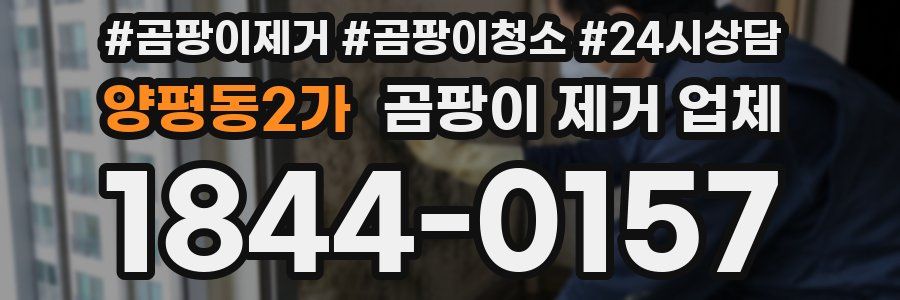 양평동2가 곰팡이 제거 업체