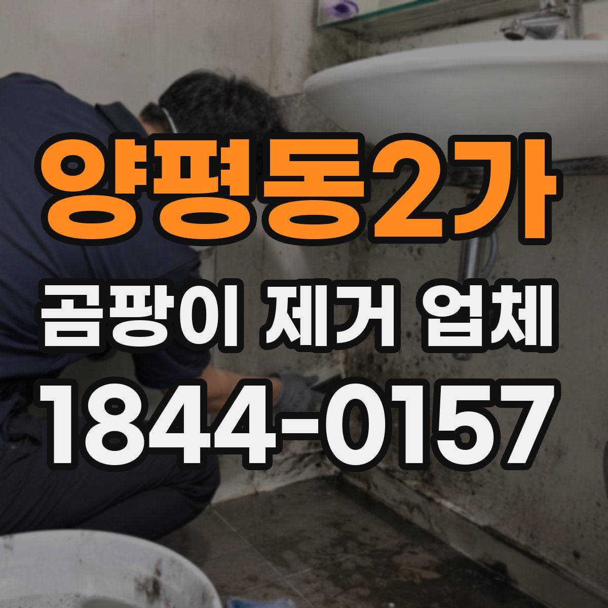 양평동2가 곰팡이 제거 업체