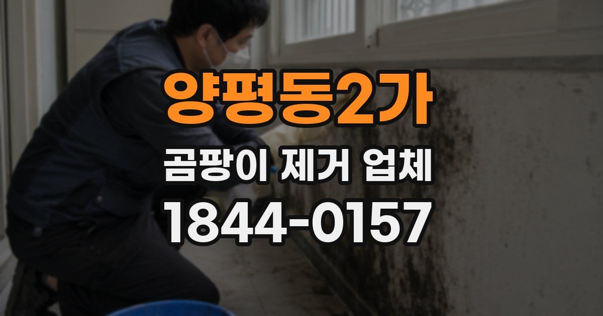 양평동2가 곰팡이 제거 업체