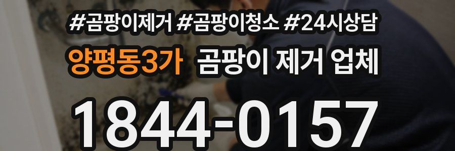 양평동3가 곰팡이 제거 업체