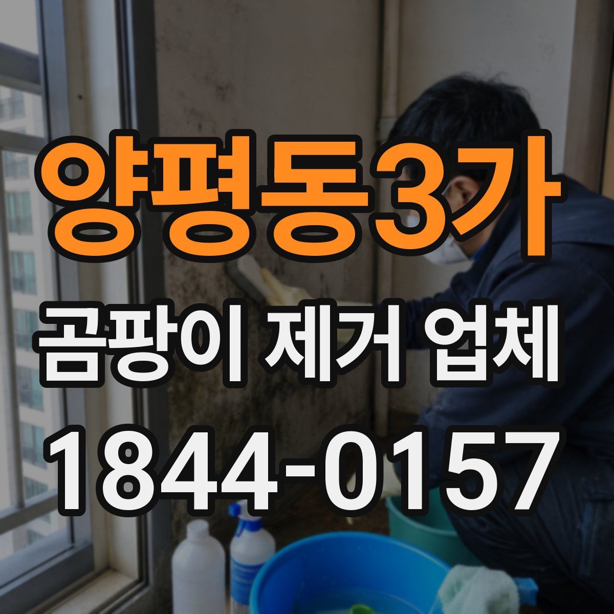 양평동3가 곰팡이 제거 업체