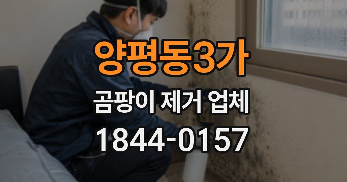 양평동3가 곰팡이 제거 업체