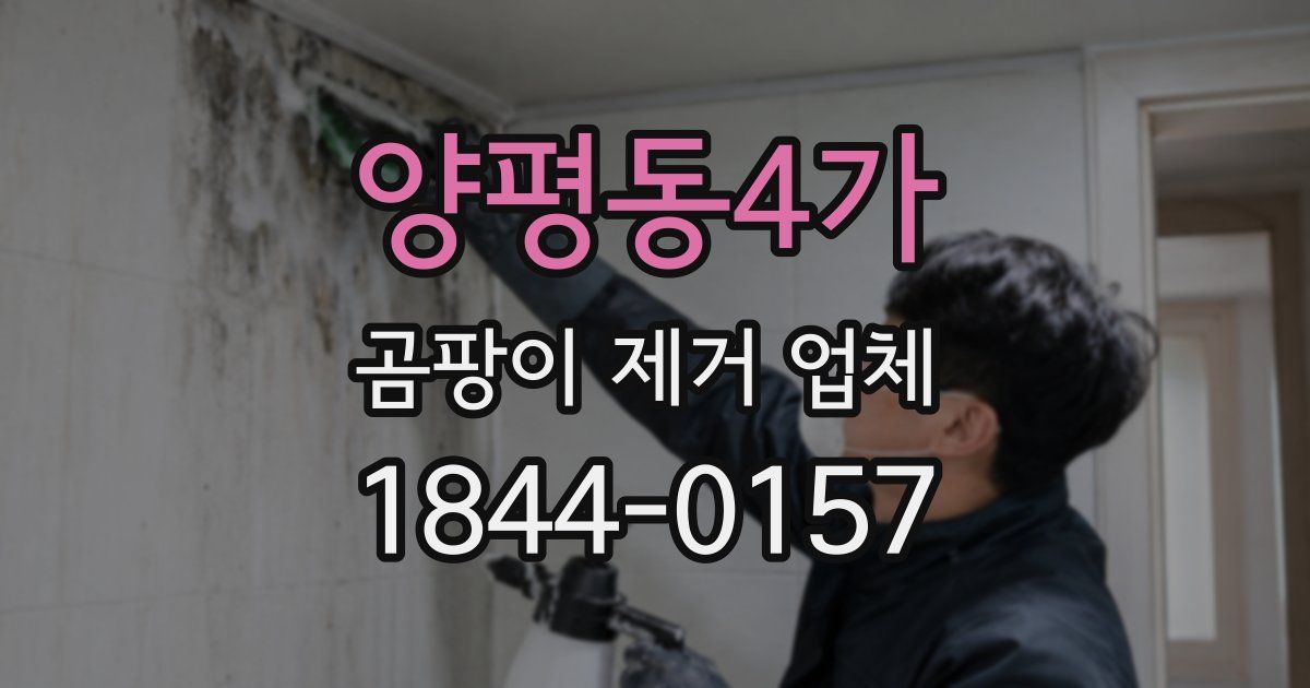 양평동4가 곰팡이 제거 업체