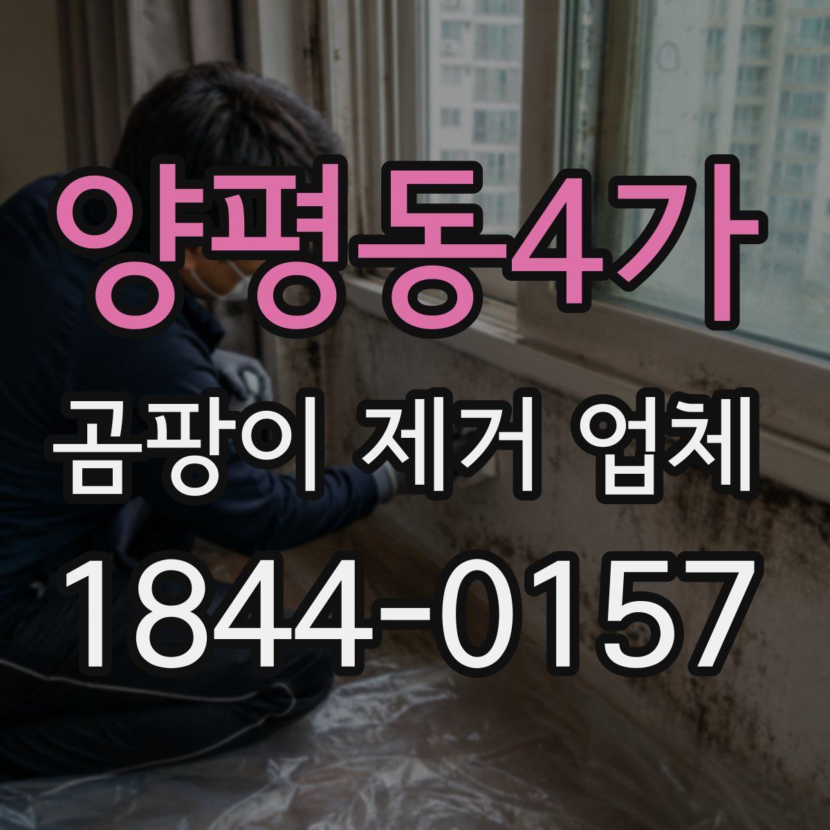 양평동4가 곰팡이 제거 업체