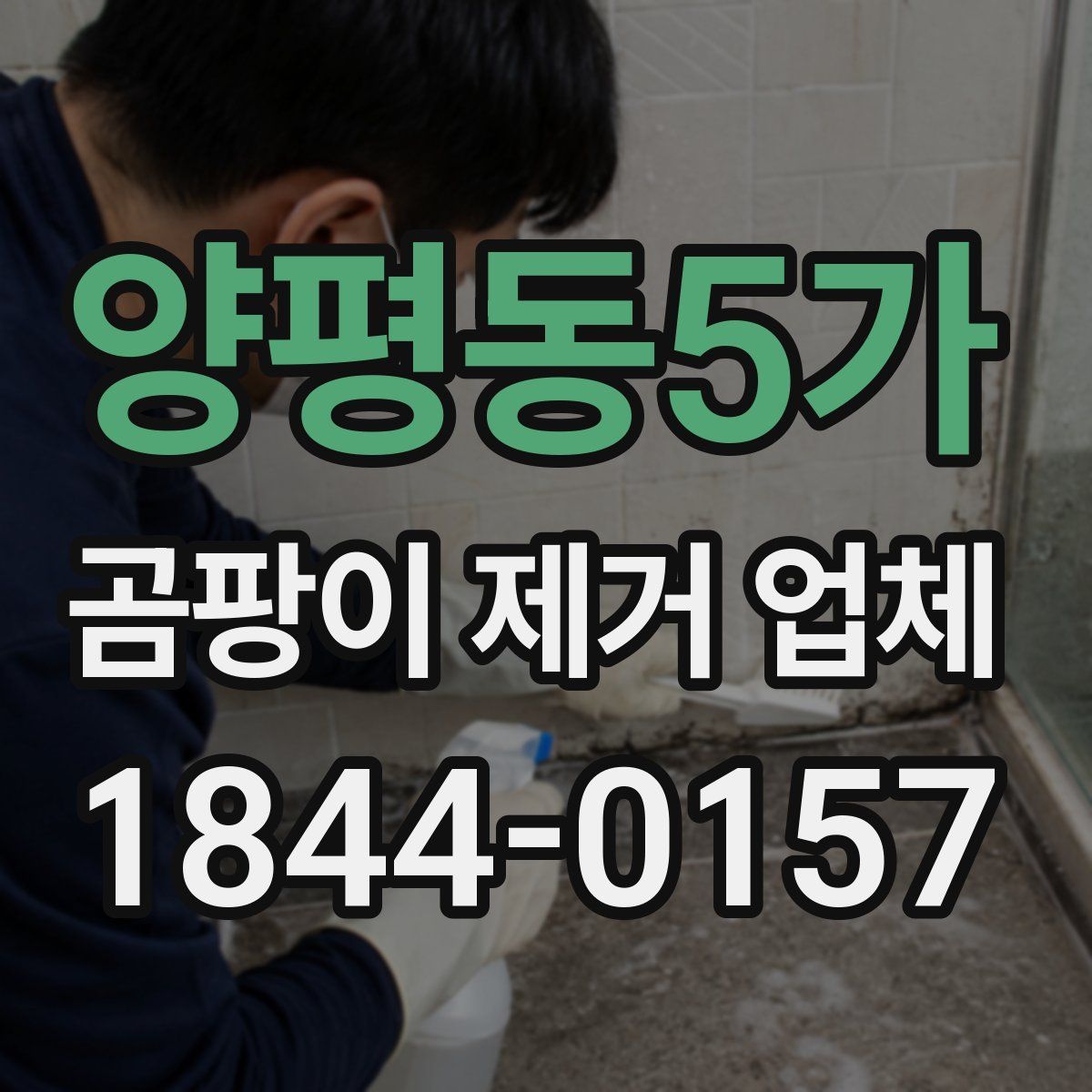 양평동5가 곰팡이 제거 업체