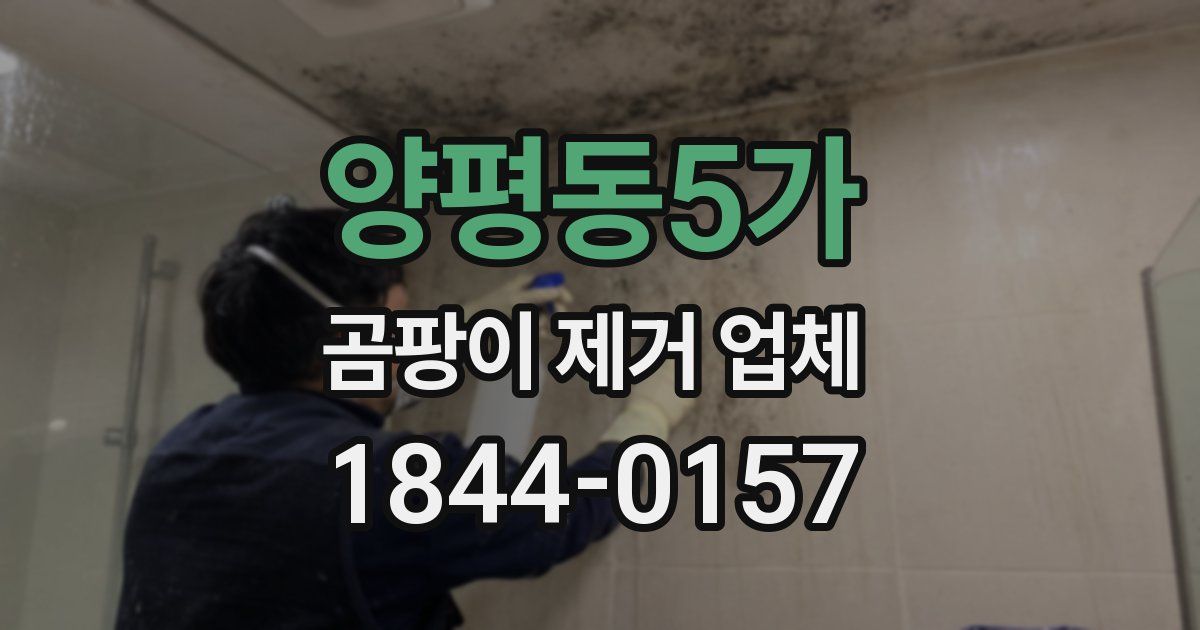 양평동5가 곰팡이 제거 업체