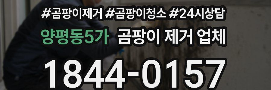 양평동5가 곰팡이 제거 업체
