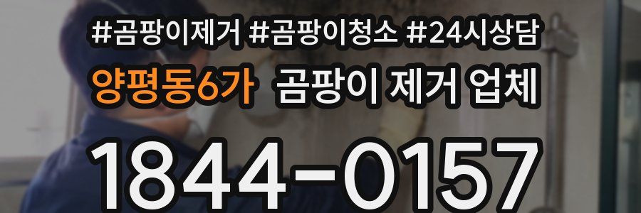 양평동6가 곰팡이 제거 업체