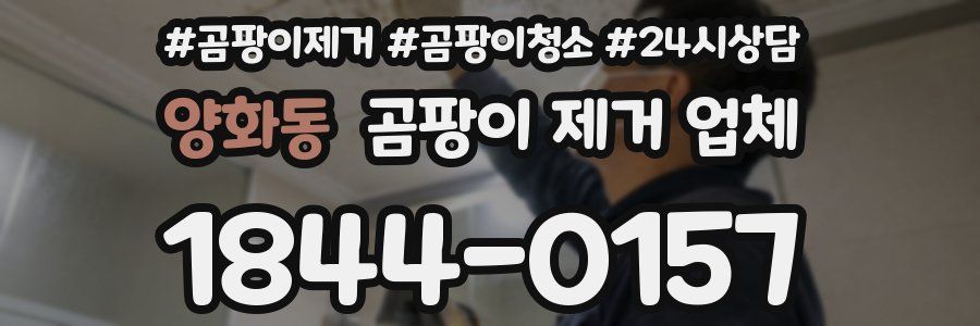 양화동 곰팡이 제거 업체
