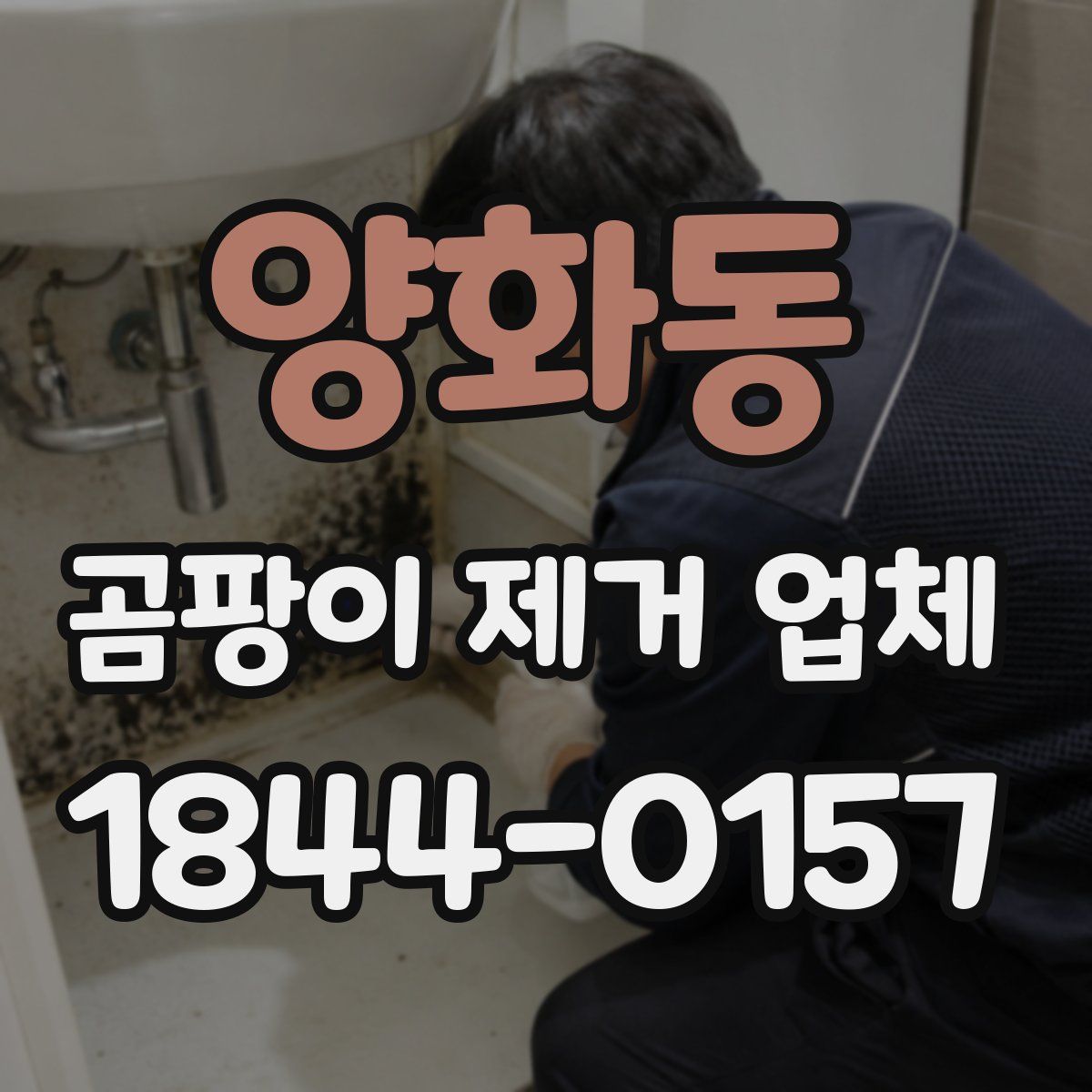 양화동 곰팡이 제거 업체