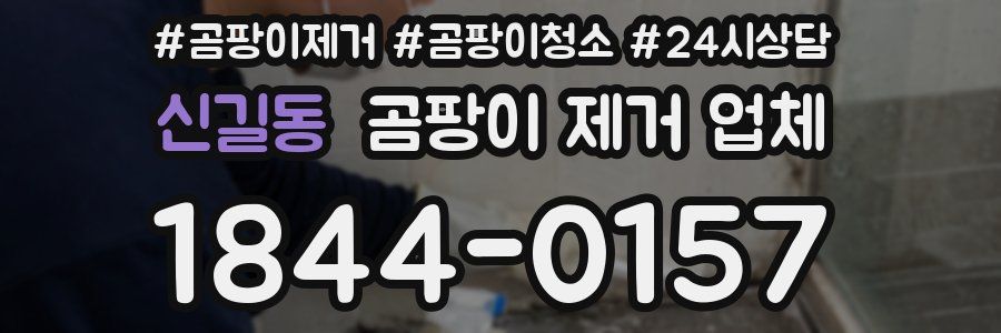 신길동 곰팡이 제거 업체