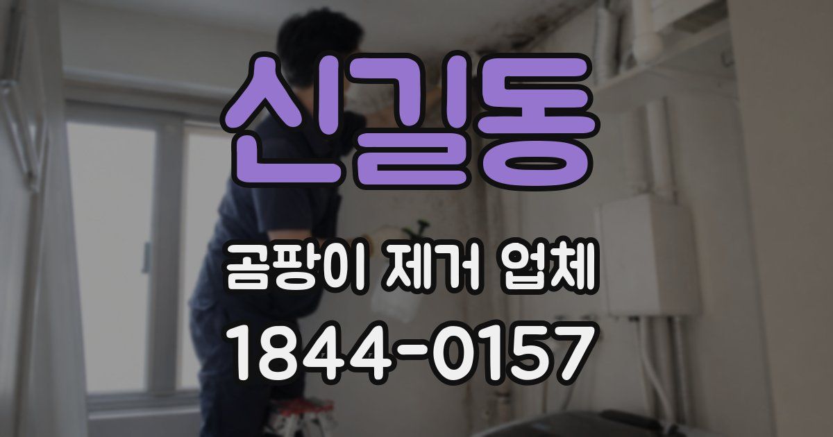 신길동 곰팡이 제거 업체