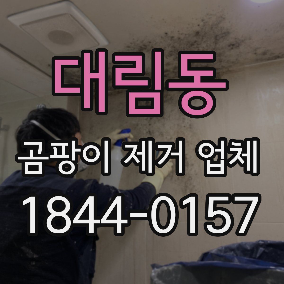 대림동 곰팡이 제거 업체