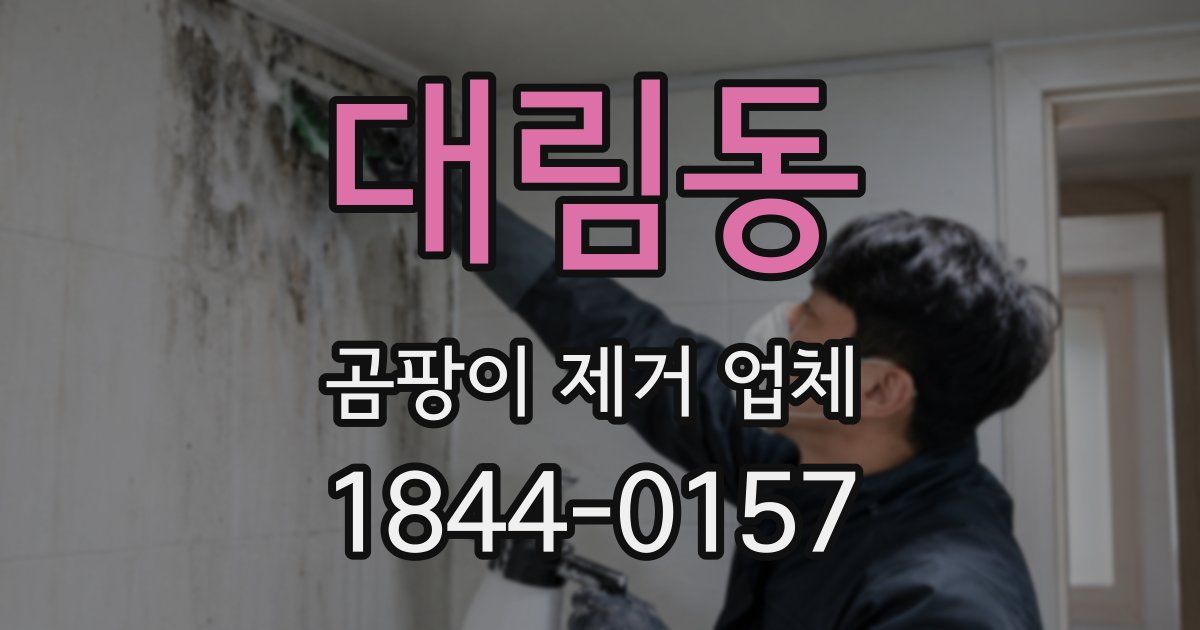 대림동 곰팡이 제거 업체