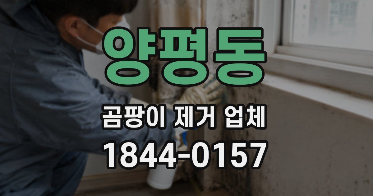 양평동 곰팡이 제거 업체