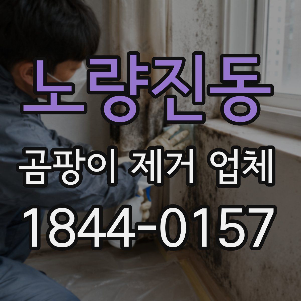 노량진동 곰팡이 제거 업체