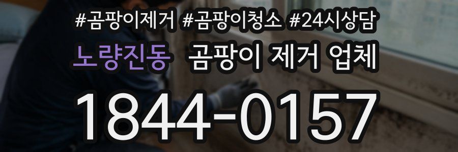 노량진동 곰팡이 제거 업체
