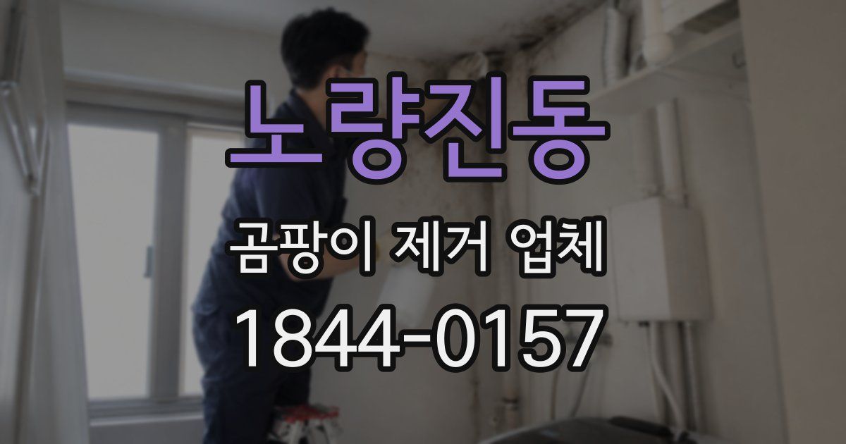 노량진동 곰팡이 제거 업체