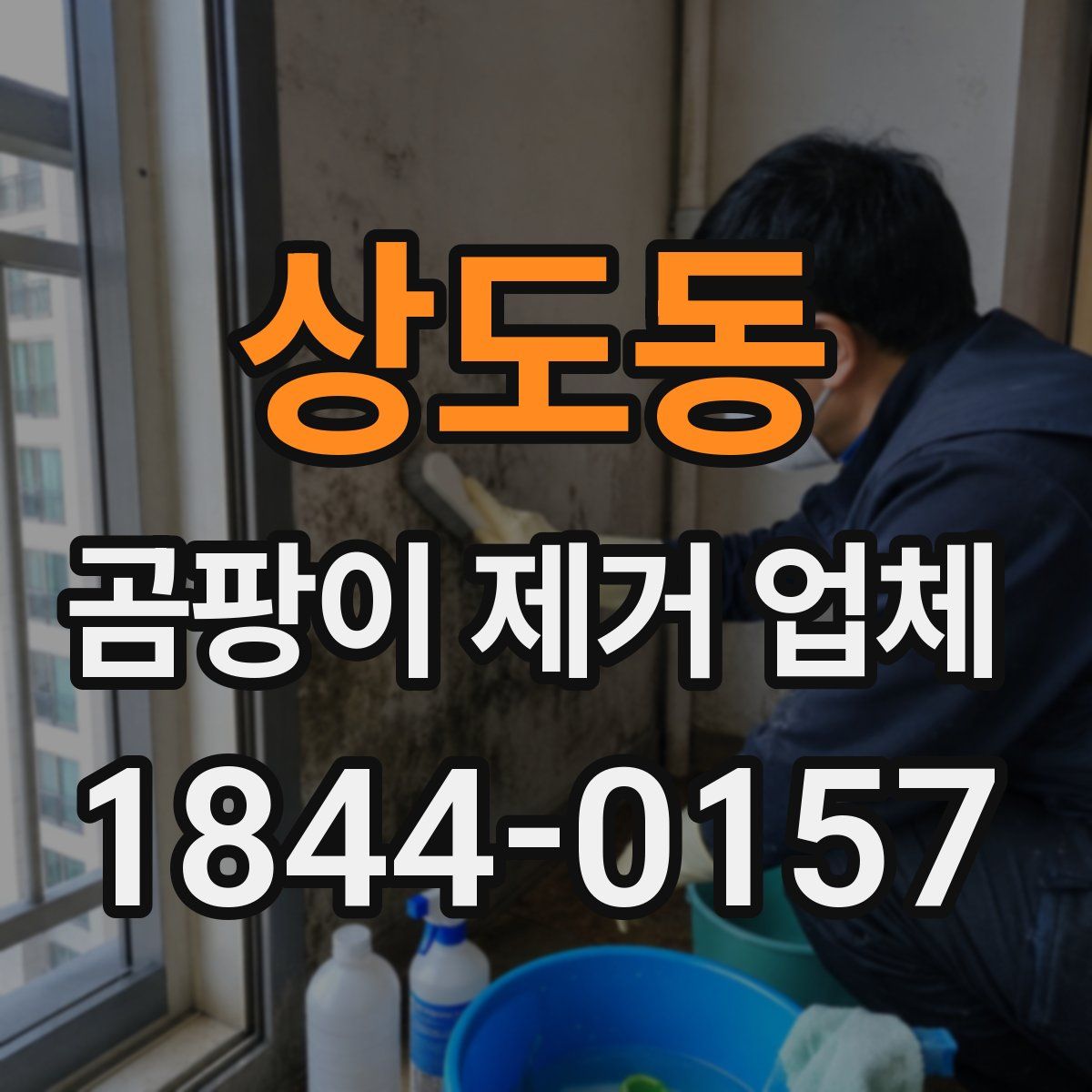 상도동 곰팡이 제거 업체