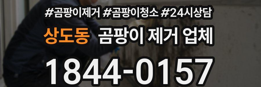 상도동 곰팡이 제거 업체