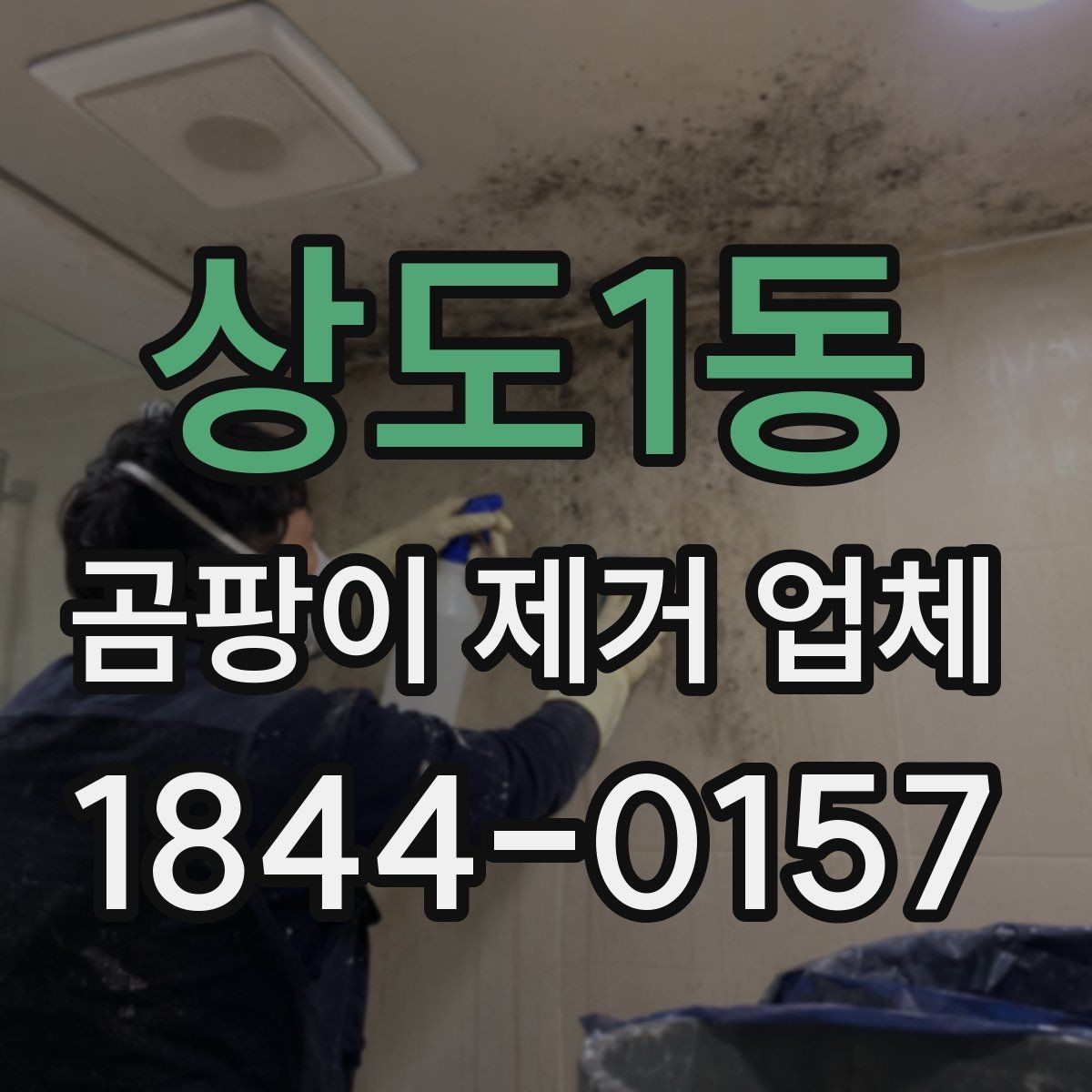 상도1동 곰팡이 제거 업체 벽면 번짐과 석고보드 상태 확인