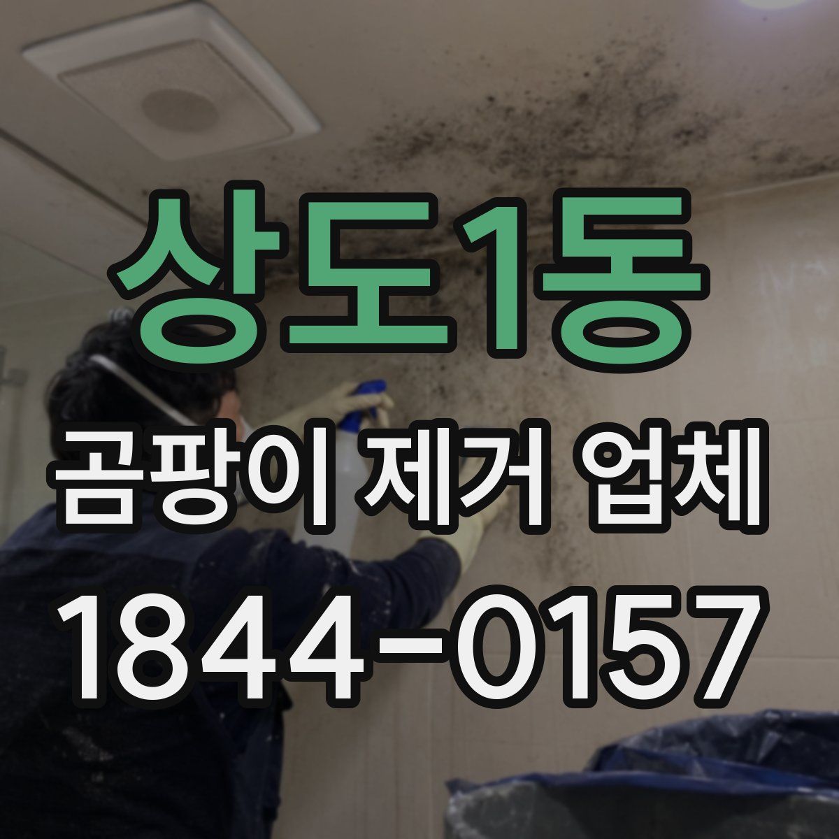 상도1동 곰팡이 제거 업체