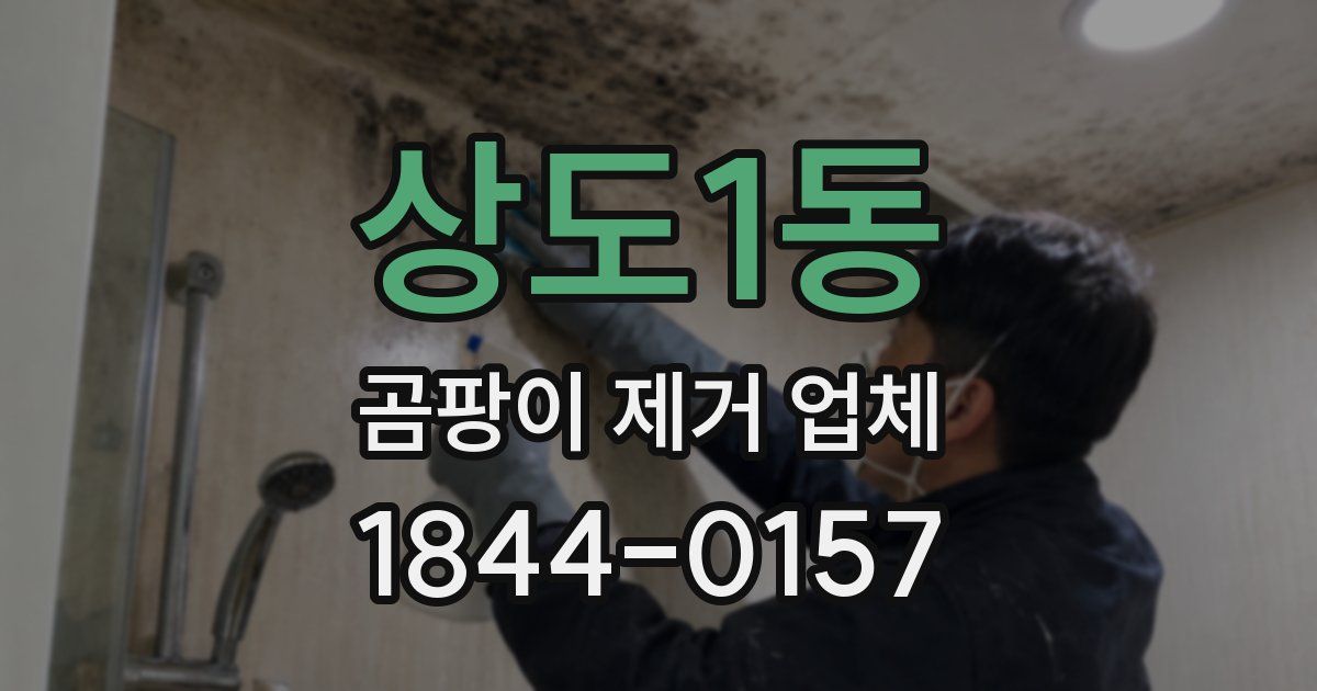 상도1동 곰팡이 제거 업체