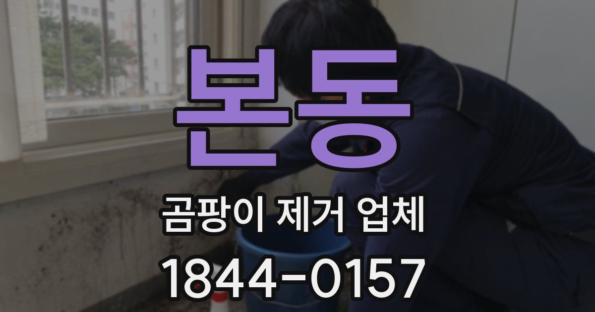 본동 곰팡이 제거 업체