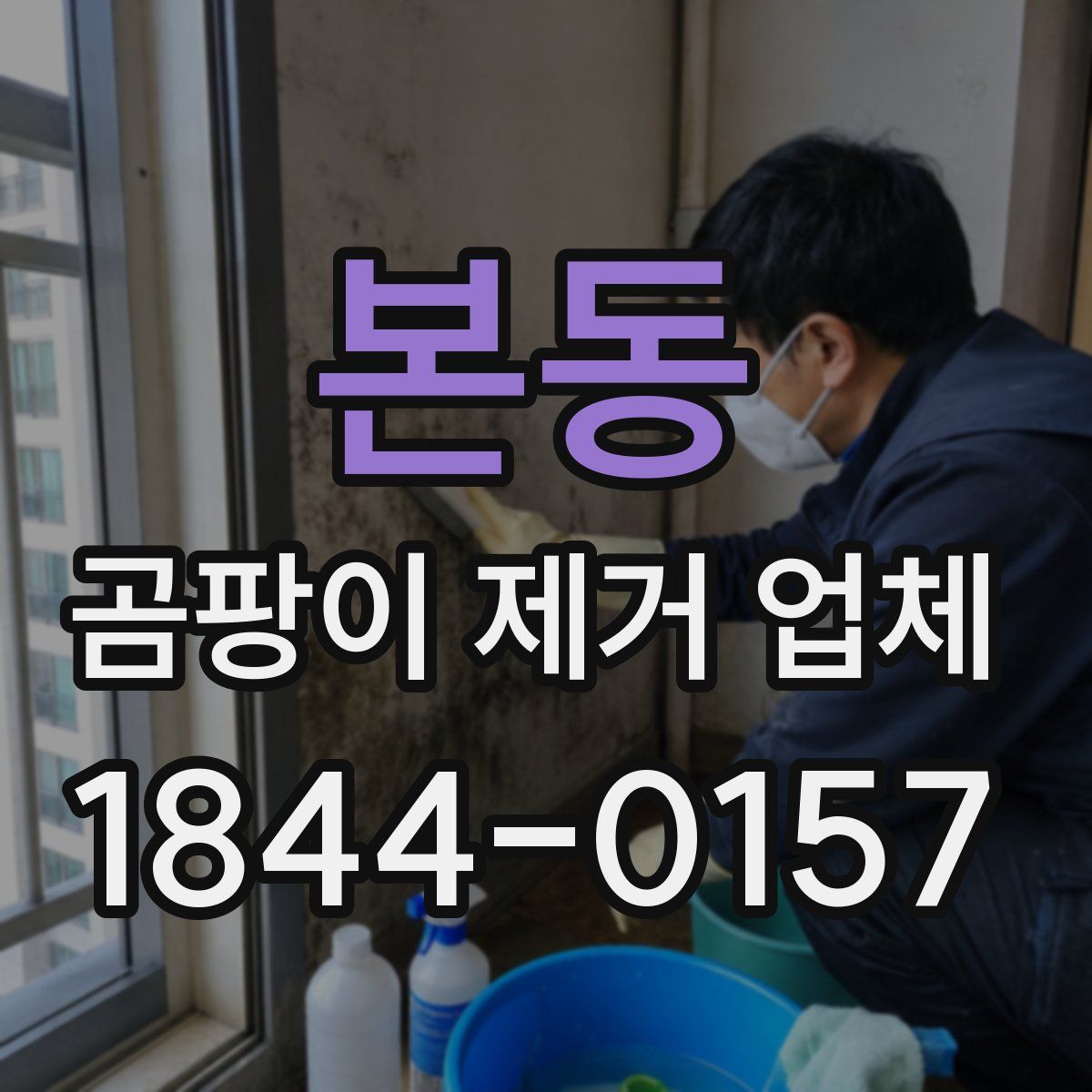 본동 곰팡이 제거 업체