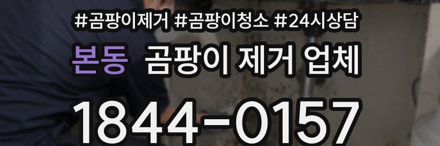 본동 곰팡이 제거 업체
