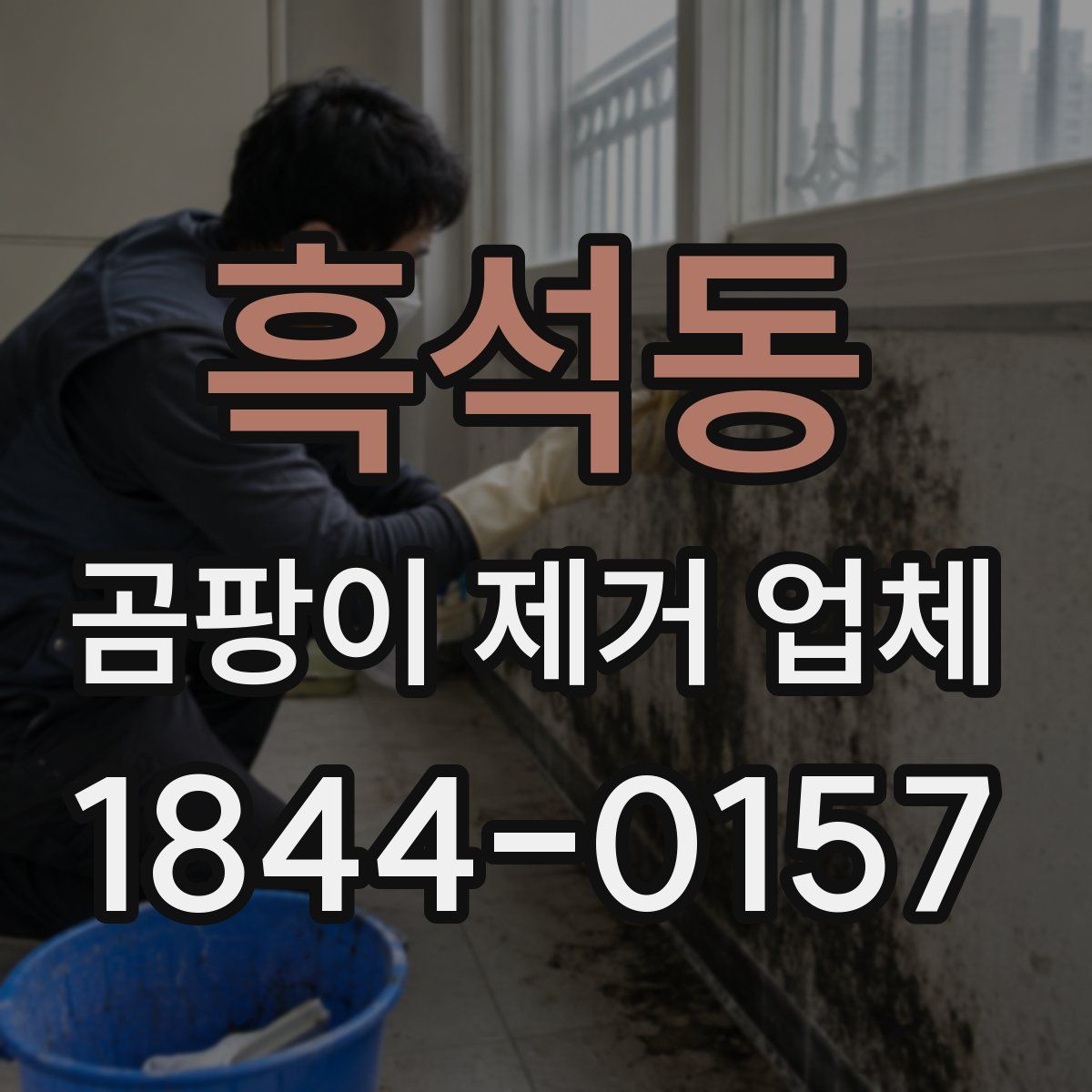 흑석동 곰팡이 제거 업체