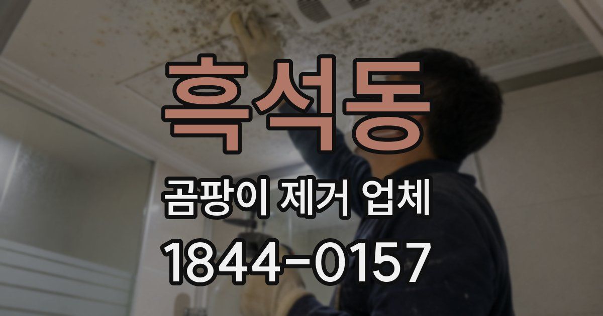 흑석동 곰팡이 제거 업체