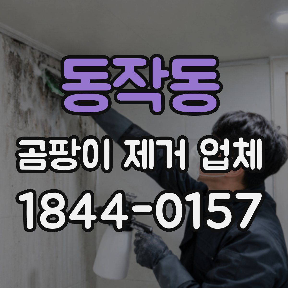 동작동 곰팡이 제거 업체