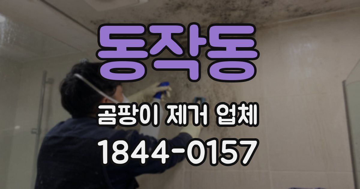 동작동 곰팡이 제거 업체