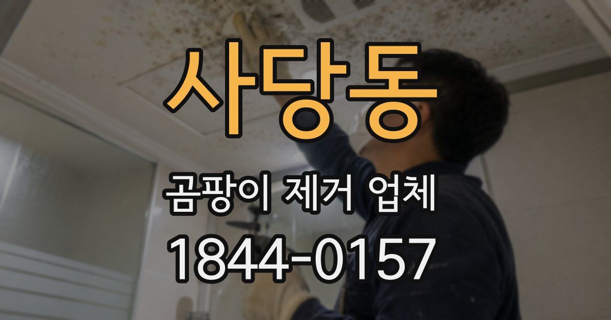 사당동 곰팡이 제거 업체
