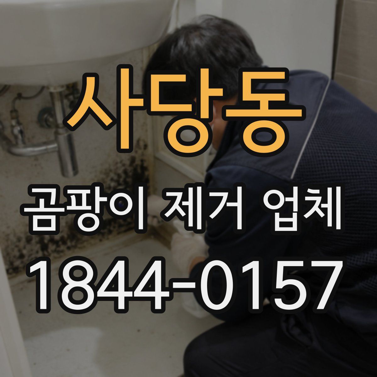 사당동 곰팡이 제거 업체