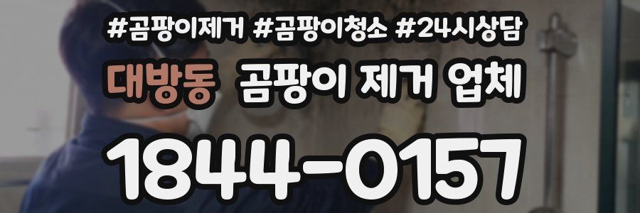 대방동 곰팡이 제거 업체