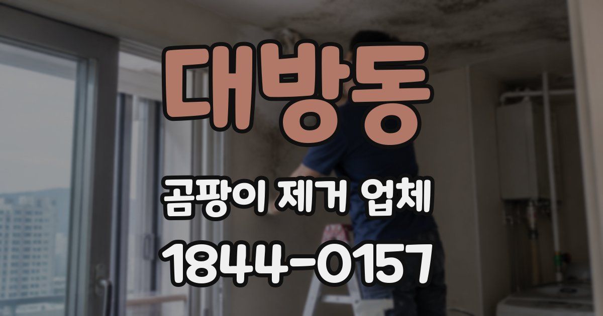 대방동 곰팡이 제거 업체