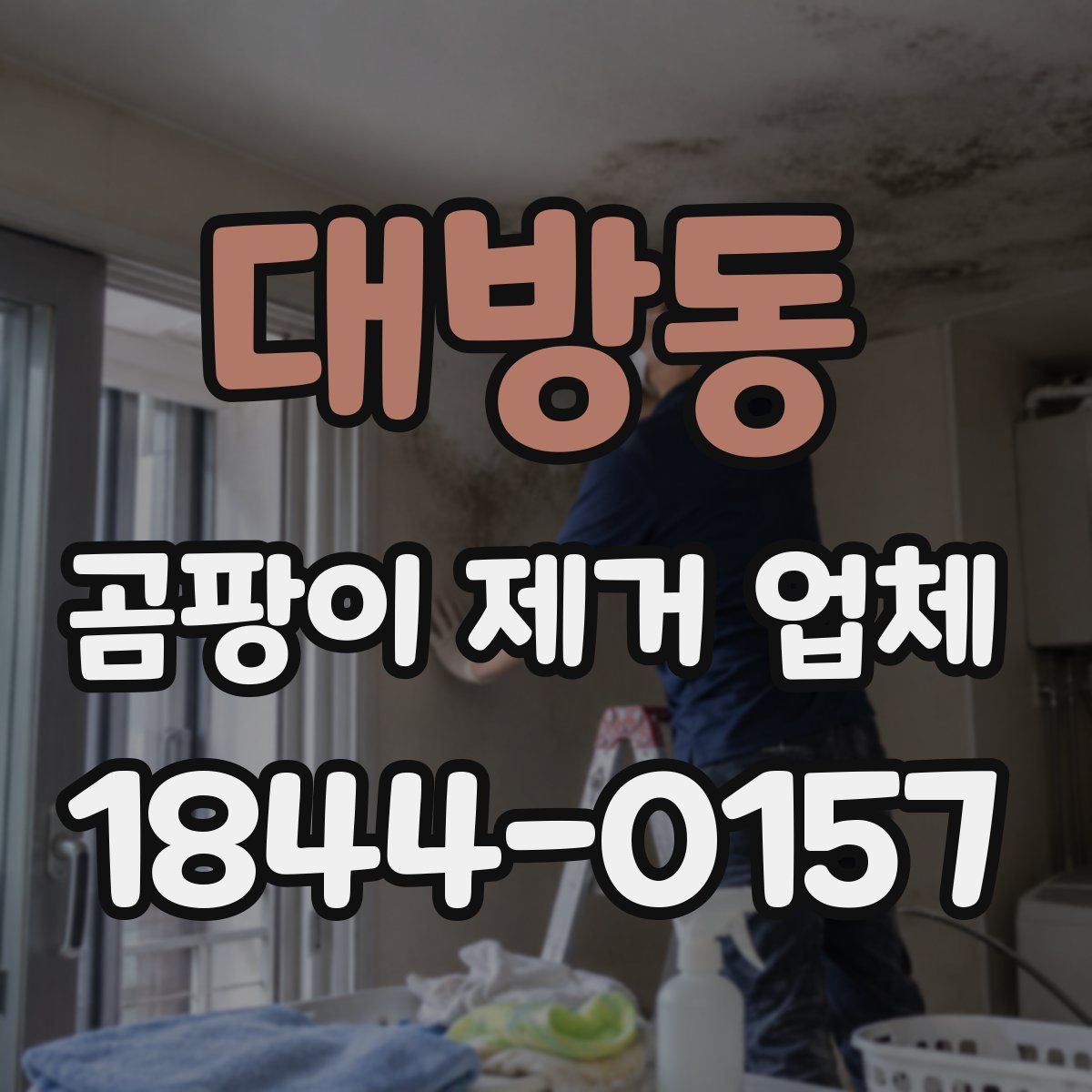 대방동 곰팡이 제거 업체