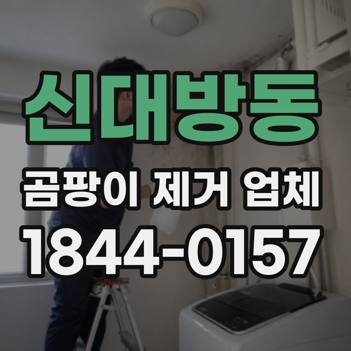 신대방동 곰팡이 제거 업체 벽지와 석고보드 오염 특성 비교