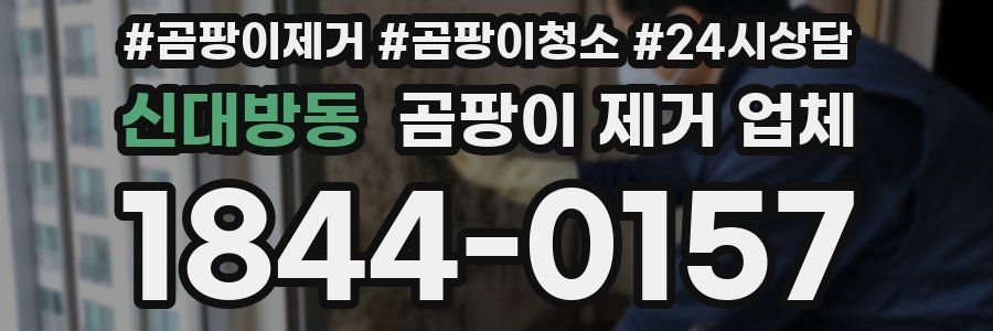 신대방동 곰팡이 제거 업체