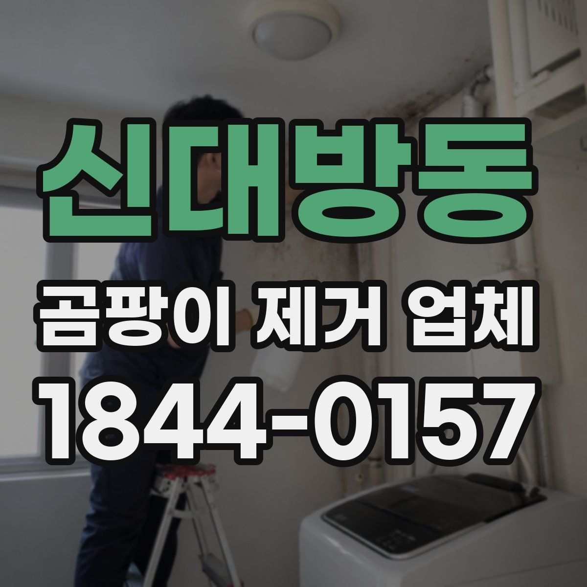 신대방동 곰팡이 제거 업체