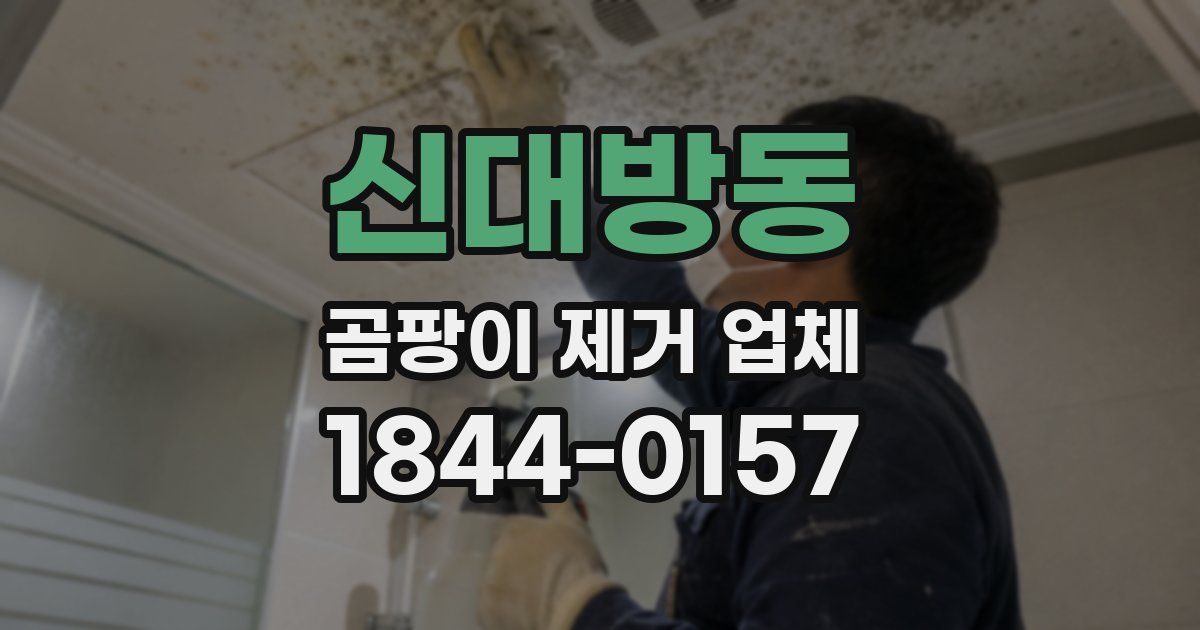 신대방동 곰팡이 제거 업체