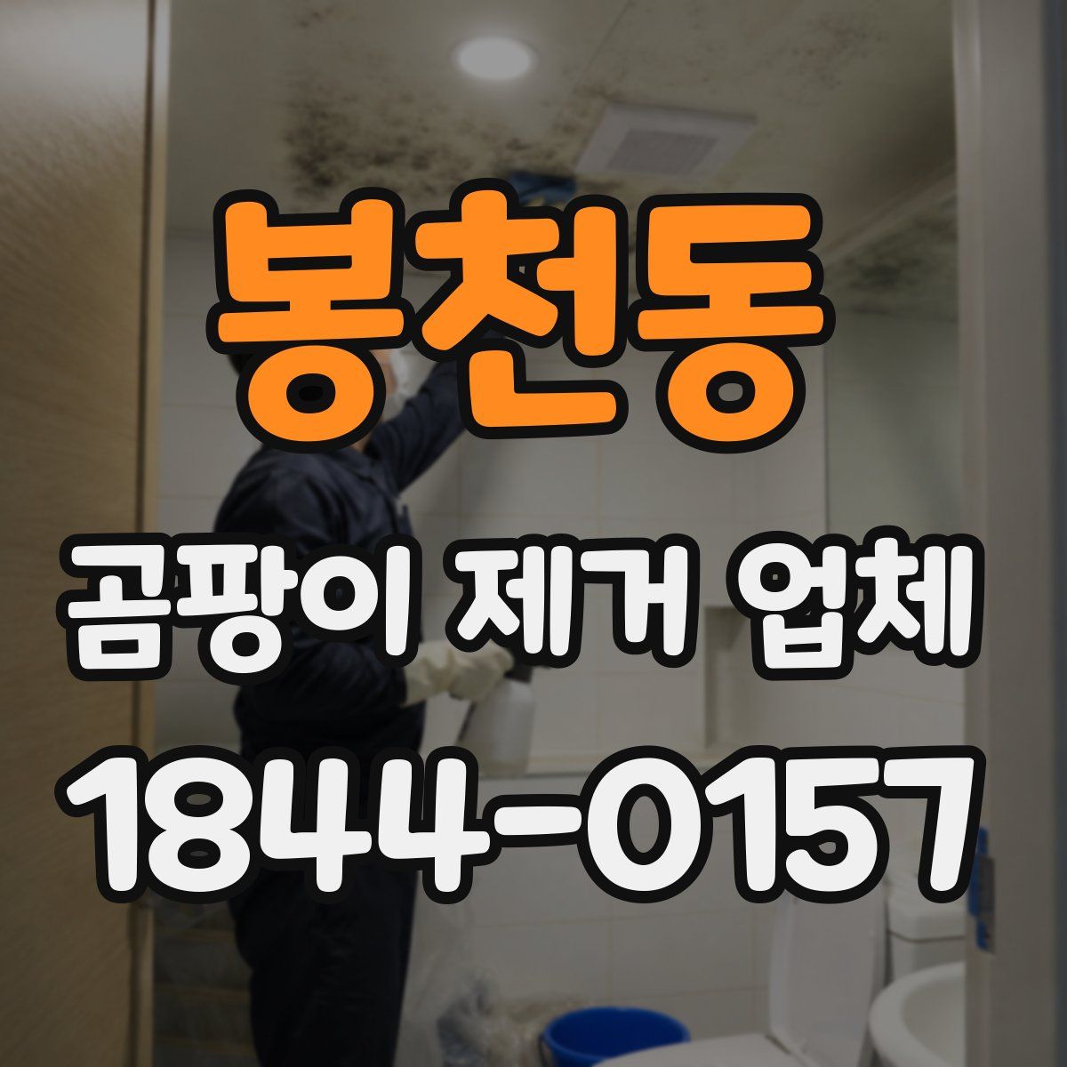 봉천동 곰팡이 제거 업체