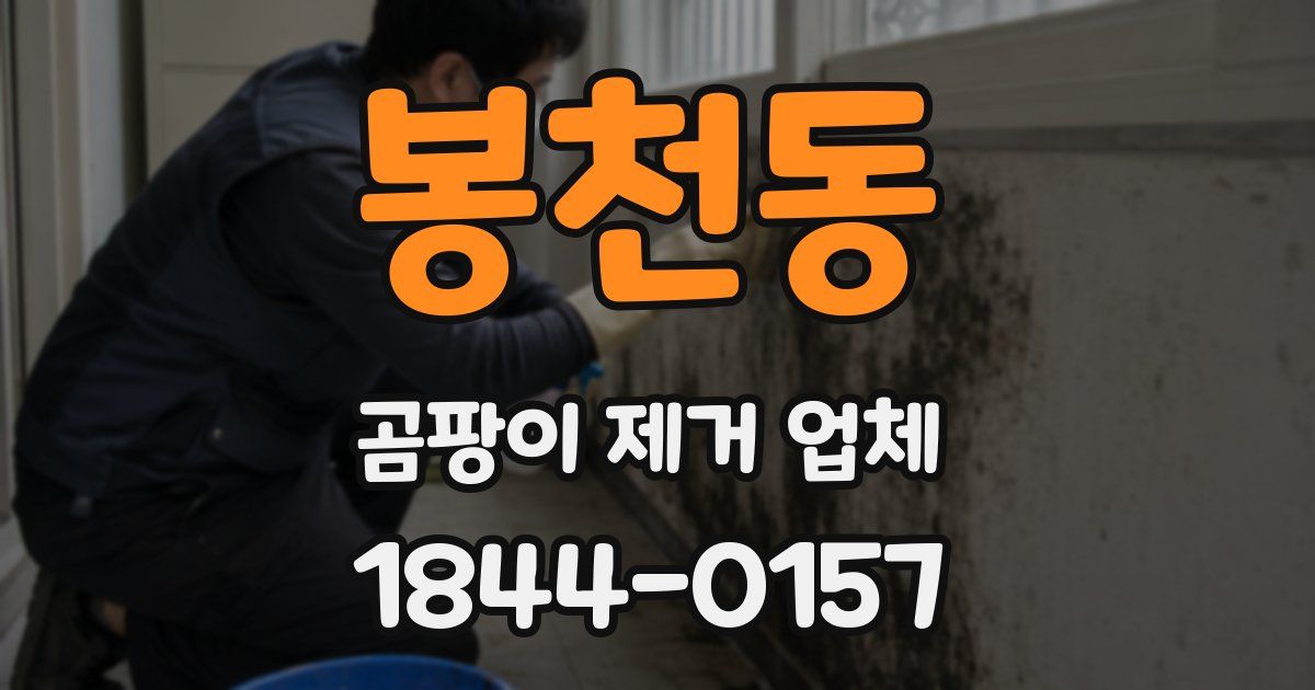 봉천동 곰팡이 제거 업체
