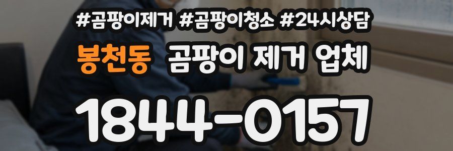 봉천동 곰팡이 제거 업체