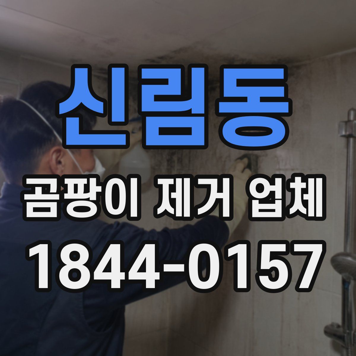 신림동 곰팡이 제거 업체