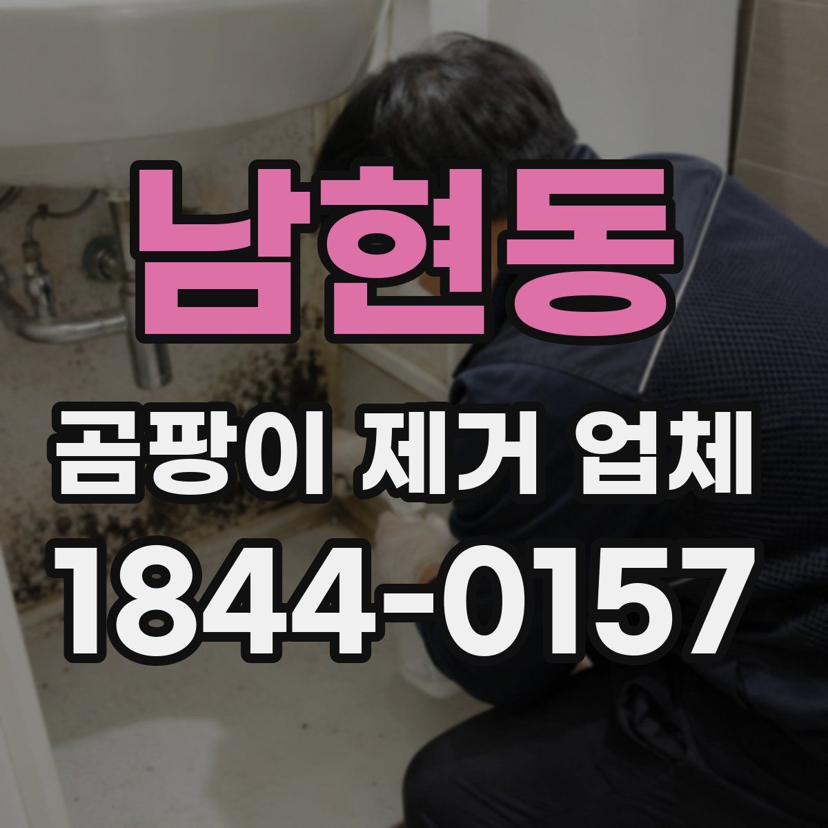 남현동 곰팡이 제거 업체